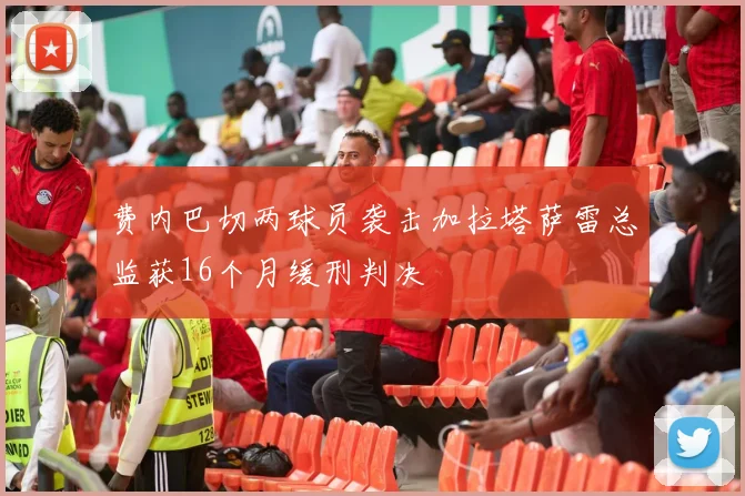 费内巴切两球员袭击加拉塔萨雷总监获16个月缓刑判决