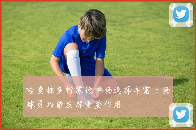 哈曼称多特蒙德中场选择丰富上场球员均能发挥重要作用